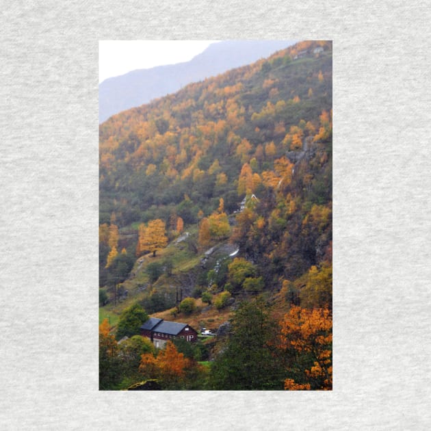 Autumn Trees Flamsdalen Valley Flam Norway by AndyEvansPhotos